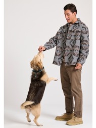 ανδρικό chino παντελόνι - the essentials