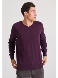 ανδρικό πουλόβερ με v ...