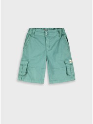 βερμούδα | πρασινο της ερημου