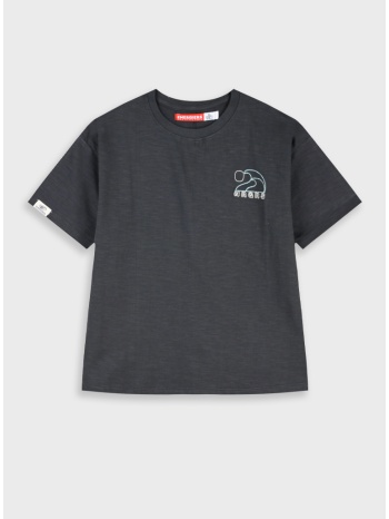 μπλούζα | ανθρακι