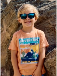 μπλούζα με τύπωμα για ...