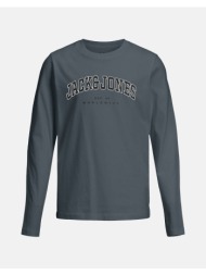 jack&jones jjecaleb ...