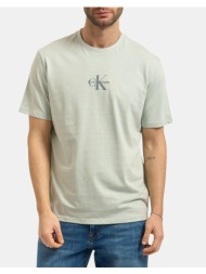 calvin klein jeans ss 30s micro monologo graphic te lv04rb866g-3q0 lightgreen