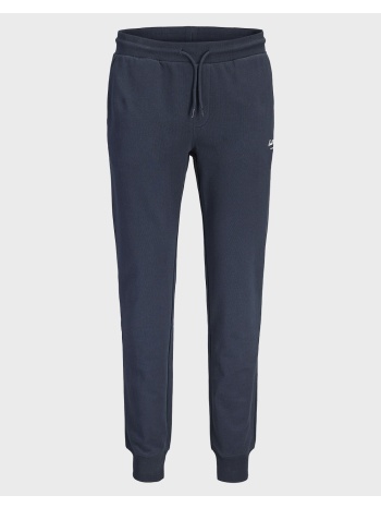 jack&jones jpstgordon archive sweat pants noos 12288641-sky