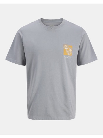 jack&jones jormontauk chestie tee ss crew neck fst