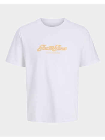 jack&jones jorcatskills ballon tee ss cn fst