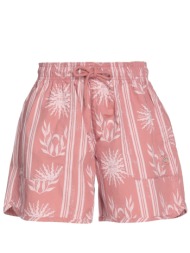 dickies bottomwear σορτς & βερμούδες