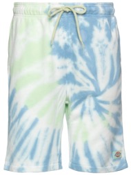 dickies bottomwear σορτς & βερμούδες