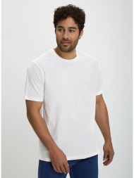 vardas t-shirt mονόχρωμο slim fit