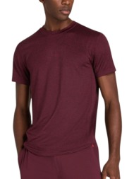 μπλούζα κοντομάνικη wilson everyday performance tee wm00011531wie-prtroyale ανδρικό