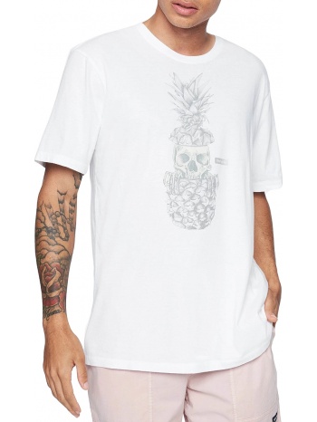 μπλούζα κοντομάνικη hurley everyday washed peeks tee σε προσφορά