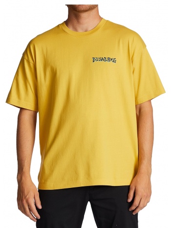 μπλούζα κοντομάνικη billabong harmony abyzt01749-yhl0 σε προσφορά