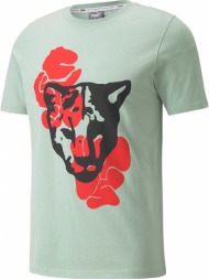 μπλούζα κοντομάνικη puma qualifier ss tee 532106-08