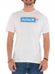 μπλούζα κοντομάνικη hurley edv wash ditsy box mts0029810-h100