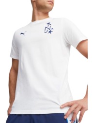 μπλούζα κοντομάνικη puma neymar jr ins. cotton 658503-01 ανδρικό