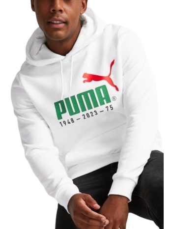 μπλούζα μακρυμάνικη puma logo celebration hoodie fl σε προσφορά