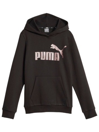 μπλούζα μακρυμάνικη puma ess logo hoodie fl g 670310-56 σε προσφορά
