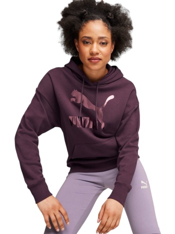 μπλούζα μακρυμάνικη puma classics shiny logo hoodie σε προσφορά