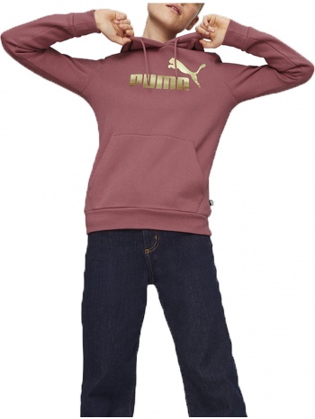μπλούζα μακρυμάνικη puma metallic logo hoodie fl 849958-45 σε προσφορά