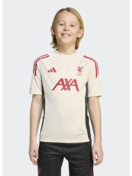 adidas liverpool tiro 25 ...