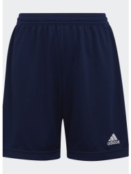 adidas entrada 22 shorts (9000198188_65879)