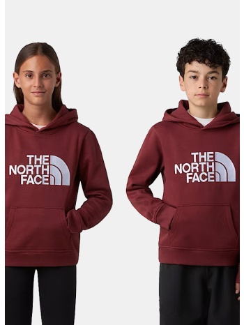 the north face teen drew peak hoodie sum (9000240017_83971)