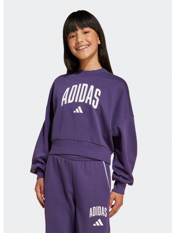 adidas sportswear jg clgt ft swt (9000236626_87542)