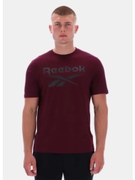 reebok classics chad big logo crew neck ss tee (9000231495_50174)