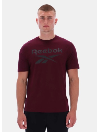 reebok classics chad big logo crew neck ss tee