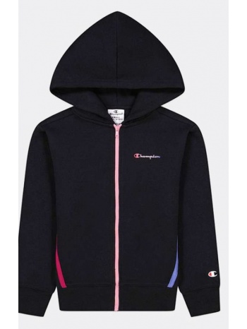champion hooded full zip sweatshirt (9000119244_1862)