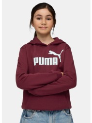 puma ess no. 1 logo ...