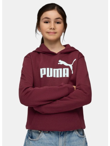 puma ess no. 1 logo hoodie fl g (9000246377_89027)