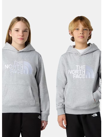 the north face teen drew peak hoodie tn (9000240018_49331)