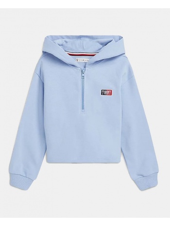 tommy jeans timeless hoodie l/s (9000138114_67189)