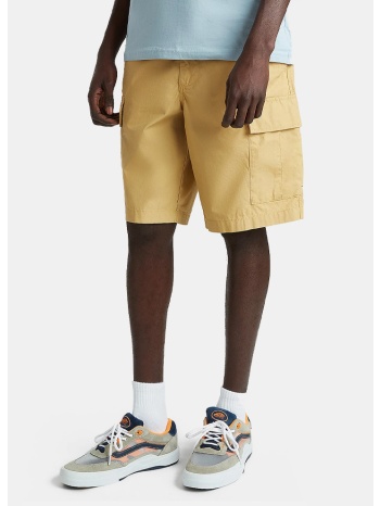 vans service cargo relaxed s ant (9000175817_75547)
