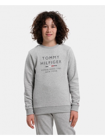 tommy jeans logo sweatshirt (9000138097_19219)
