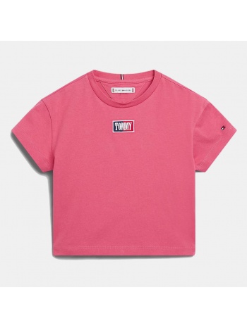 tommy jeans timeless tee s/s (9000138121_67190)