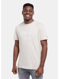 tommy jeans m reg center flag ss tee (9000263607_92634)