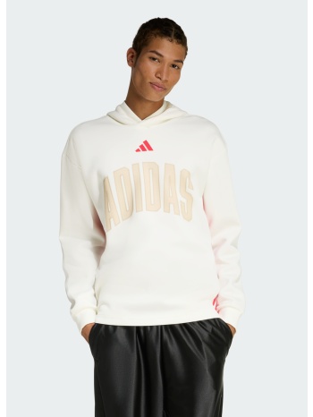 adidas sportswear m stadium graphic hoodie