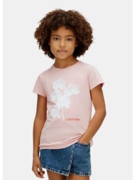 calvin klein chest logo παιδικό t-shirt (9000271217_93497)