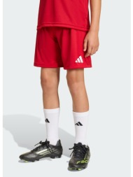 adidas k entrada26 shorts (9000284690_63009)