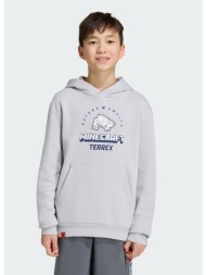 adidas terrex k minecraft hoodie (9000284336_65917)