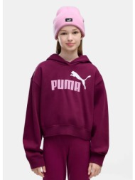 puma essentials παιδικό φούτερ με κουκούλα (9000288717_97102)