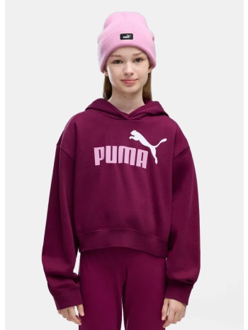 puma essentials παιδικό φούτερ με κουκούλα