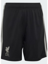 adidas k liverpool fc 26/27 third short (9000298111_1469)