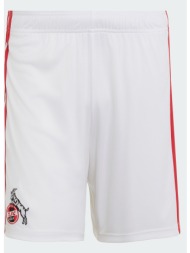 adidas 1. fc koeln 26/27 home ανδρικό σορτς (9000294080_1539)