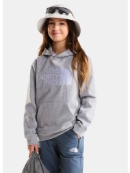the north face teen tnf ...