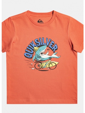 quiksilver at risks παιδικό t-shirt (9000147393_68634)