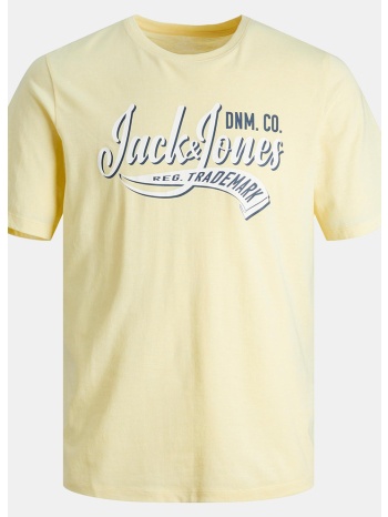 jack & jones παιδικό t-shirt (9000170697_38738)