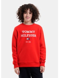 tommy jeans th logo sweatshirt (9000175327_51584)